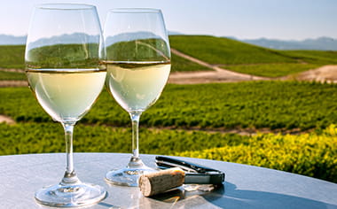 Two glasses of white wine